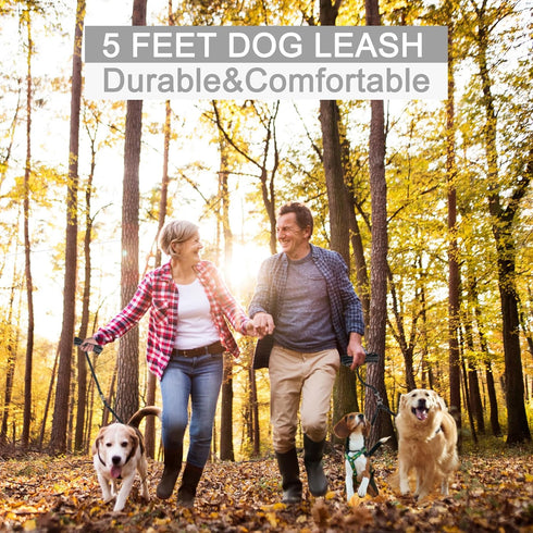 Leather Dog Leash, 5 ft x 1/2 inch Lightweight Thick Soft Leather Dog Leash, 360 Swivel No Tangle Walking Leash for Large, Medium and Small Dogs T...