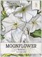 Seed Needs, White Moonflower Seeds - 20 Heirloom Seeds for Planting Ipomoea alba - Annual Flowering Vines Produce Large 6 Inch Blooms (1 Pack)...