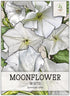 Seed Needs, White Moonflower Seeds - 20 Heirloom Seeds for Planting Ipomoea alba - Annual Flowering Vines Produce Large 6 Inch Blooms (1 Pack)...