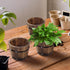 Healeved Wooden Whiskey Barrel Planter Garden Flower Pot Decor Plant Container Box Brown (Size 2)...