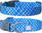 Reflective Dog Collar, Neck 16’’-25’’, Adjustable Soft Nylon Collar with Safety Lock for Medium, Large Dogs, Blue, L...
