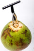 2 qty - Ken's CocoMon Coconut Opener Tool for Fresh GREEN Young Fruit Black Rubber Handle EZ Easy Grip SAFE (2 CocoMons)...