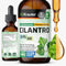 BIO KRAUTER Cilantro Supplement - Rich Source of Antioxidants - Natural Cleansing & Detox Cilantro Tincture - Vegan, Alcohol Free Drops 2 Fl. Oz....