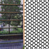 Plastic Chicken Wire Fence Mesh 15.7IN x 10FT Hexagonal Plastic Poultry Netting for Chicken, Black Upgraded Plastic Garden Mesh Fencing for Garden...