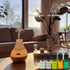 Essential Oils Set Top 5 Aromatherapy-Essential Oils for Diffuser for Home,Air Freshening Diffuser Oils Scents for Aromatherapy,Laundry,Candle&Soa...