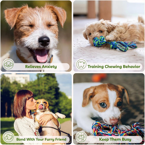 2 Pack Dog Rope Toy for Small Dogs, Puppy Teething Toys, Durable Cotton Puppy Chew Toys for Teething, Small Dog Toys for Aggressive Chewers, Inter...