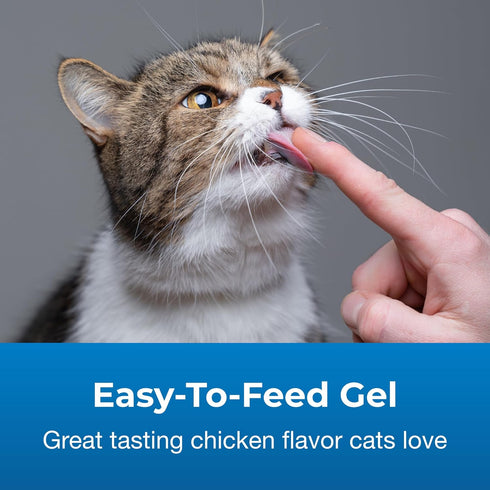 Pet-Ag Vitamin & Mineral Gel Supplement for Cats - 3.5 oz - Provides Basic Daily Vitamins & Minerals for Cats 4 Months and Older - Easy to Digest...