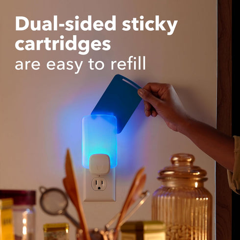 Raid Essentials Flying Insect Light Trap Starter Kit, 1 Plug-In Device + 1 Cartridge, Featuring Light Powered Attraction...