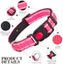 2 Pack Reflective Dog Collar for Small Dogs Girl Boys,Nylon Durable Soft Padded Neoprene Male Female Dog Collars for Medium Puppy Extra Large Dogs...