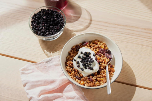 Wyman's Whole Dried Wild Blueberries - 100% Wild Blueberries, No Sugar Added, Snack Food, Topping, Baking, Resealable Bag - 4.5oz...