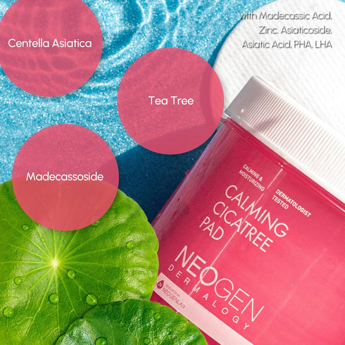 DERMALOGY by NEOGENLAB Calming Cica Tree Pad 5.07 Fl Oz / 90 pads (150ml) - Soothing, Exfoliating PHA & LHA Pad for Sensitive Skin, Clean Beauty -...