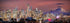 PHOTOSBYJON Seattle Skyline 2020 Photo Print UNFRAMED Dusk Color City Downtown 11.75 inches x 36 inches Rainier Photographic Panorama Poster Pictu...