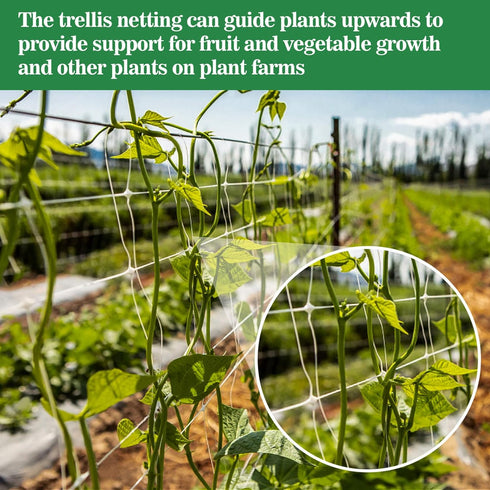 Sukh Garden Plant Trellis Netting -Trellis Net Polyester Trellis Netting Garden Square Mesh Netting for Climbing Plants Fruits Vegetables VinesGro...