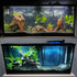 Fish Backgrounds Paper Double Sides 3D Stone & Trees Aquarium Background Picture 19" x 48" Fish Tank Background...