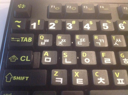 Korean Keyboard Stickers with Bold Bright Inlays. Large Symbols Will Not Wear, Smudge or Fade. Korean Conversion for All Laptop and Desktop Keyboa...