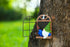 Gnome Tree Hugger Garden Gnome Statue 4.9 inches Elf Out The Door Tree Hugger, Garden Peeker Art Décor for Tree Trunk Fence Yard Garden Sculptures...