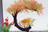 AQUA KT Aquarium Landscape Curved Tree Magenta Plant Plastic for Betta Clownfish Cichlid Guppy Glofish Tank Decoration...