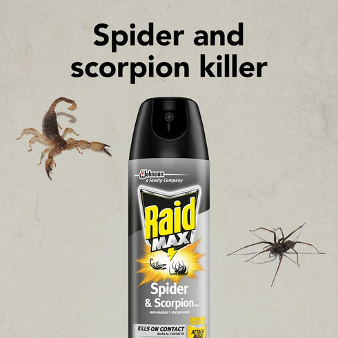 Raid Spider and Scorpion Killer, Kills spiders, scorpions, roaches, ants, Waterbugs, earwigs, 12 oz...