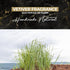 TROIA US Solid Perfume - Solid Cologne for Women, Vetiver Scent, Travel Size, Portable Women's Fragrances - Handmade Wax Perfume (Vetiver 0.5oz - ...