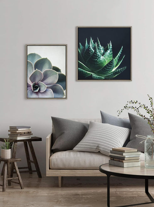 Kate and Laurel Sylvie Succulent 5 Framed Canvas by F2 Images, 18x24 Gray...
