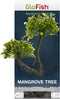 GloFish Mangrove Green Tree Plant Fluorescent Under Blue LED Light Aquarium Decor...