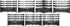 Hardline Products Series 400 Factory Matched 3-Inch Boat & PWC Registration Number Kit, Chrome/Black - CHBKG400...