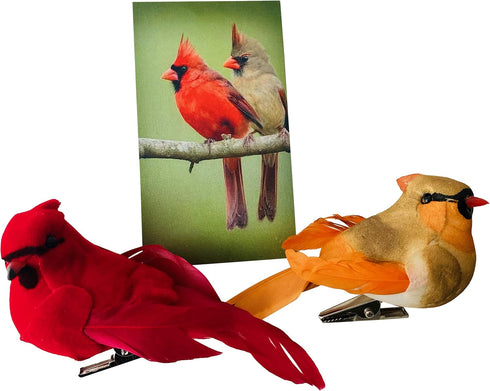 Westmon Works Cardinal Decor Set with Clip Male and Female Love Bird Cardinals with Story Card Boxed...