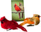 Westmon Works Cardinal Decor Set with Clip Male and Female Love Bird Cardinals with Story Card Boxed...