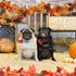 DearHouse 2 Pack Fall Maple Leaf Garland - 5.9Ft/Piece Hanging Vine Artificial Autumn Foliage for Thanksgiving, Home, Wedding, Fireplace, Party, C...