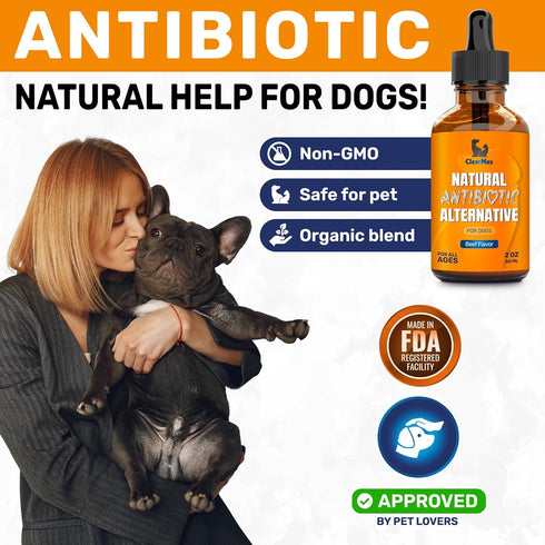 Antibiotic for Dogs ? Dog Antibiotic ? Natural Antibiotics for Dogs ? Pet Antibiotic ? Dog Antibiotics with Beef Flavor ? 2 Oz...