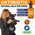 Antibiotic for Dogs ? Dog Antibiotic ? Natural Antibiotics for Dogs ? Pet Antibiotic ? Dog Antibiotics with Beef Flavor ? 2 Oz...