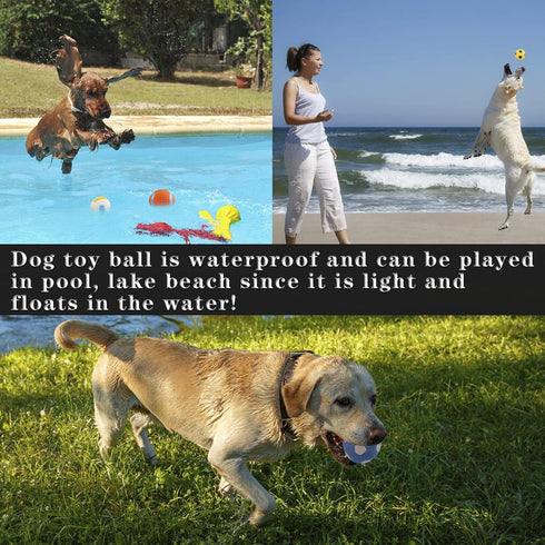 T'CHAQUE Squeaky Dog Toys, Natural Latex Rubber Dog Balls, Soft, Bouncy & Durable for Small Medium Dogs Puppy Interactive Chew Sound Fetch Play Do...