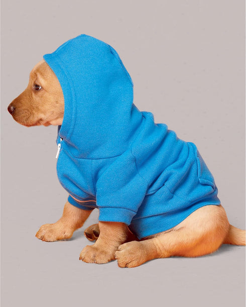 Simplicity Sporty Pet Clothes Sewing Pattern Kit, Code S9532, XS-S-M-L-XL, Multicolor...