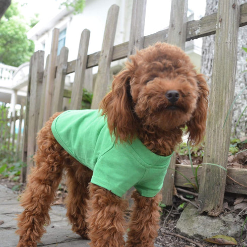 Lovelonglong Pet Clothing Dog Costumes Basic Blank T-Shirt Tee Shirts for Small Dogs Green M...
