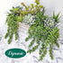 Meiliy 4pcs Artificial Succulent Plants Hanging Succulent Plants Faux Succulents Unpotted Branch String of Pearls Plant for Home Kitchen Office We...