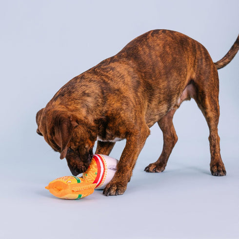 Fringe Studio Plush Dog Toy Set with Treat Pockets for Interactive Play, Nothin’ But Noodles, 2 Piece Set, Pet Shop Collection (124011)...