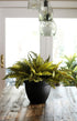 The HC Companies Infinity Round Planter Decorative 10 Inch Plastic Flower Pot w/Removable Saucer for Indoor & Outdoor Plants, Clay...