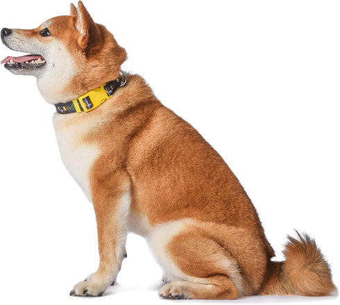 Star Wars for Pets Darth Vader Dog Collar, Small | Officially Licensed Yellow Dog Collar | Small Dogs with D-Ring, Cute Dog Apparel & Accessories ...
