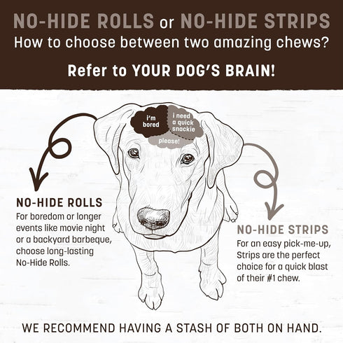Earth Animal No Hide Medium Venison Flavored Natural Rawhide Free Dog Chews Long Lasting Dog Chew Sticks | Dog Treats for Large Dogs | Great Dog C...