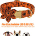 Halloween Dog Collars for Small Dog with Flower Tie,Fall Black Spider Dog Collar with Safety Metal Buckle Adjustable Puppy Collars for Medium Larg...