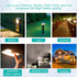 4W 12V T5 Light Bulbs for Landscape Light Bulbs/ Wedge Base Low Voltage Lights Bulbs/ Garden Light Bulbs/ Deck Light Bulbs/ Yard Light Bulbs/ Mali...