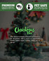 Shortie's Candle Company Christmas Tree Wax Melts Multi Pack - 2 Highly Scented 3 Oz. Bars (6 Oz. Total) - Made with Natural Oils - Christmas & Ho...