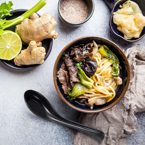 Patelai 12 Pieces Asian Soup Spoons Melamine Rice Spoons Noodle Soup Spoons Chinese Won Ton Soup Spoon Japanese Soup Spoon for Home and Kitchen(Bl...