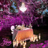 JMEXSUSS 2 Pack Pink Solar Christmas Lights, 33ft 100 LED Solar String Lights Outdoor Waterproof, 8 Modes Solar Fairy Lights for Outside Garden Pa...