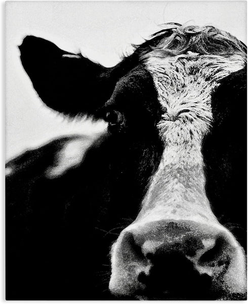 Stupell Industries Cow Face Portrait, Designed By Lettered and Lined, 16 x 20, Canvas Wall Art...