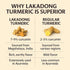 Go-Yogik Lakadong Turmeric Powder-5.3oz, High Curcumin -Lab Tested | Superfood | Traditionally grown, Direct from India....