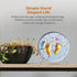 TR-LIFE Plate Stands for Display - 6 Inch Plate Holder Display Stand + Metal Easel Stand for Picture Frame, Decorative Plates, Photo, Book, Collec...