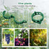 200 pcs plant climbing wall fixture clips, secured plastic plant clips for tomato plants, grape vine, cucumber plants, garden clips?Regular 1.02in...