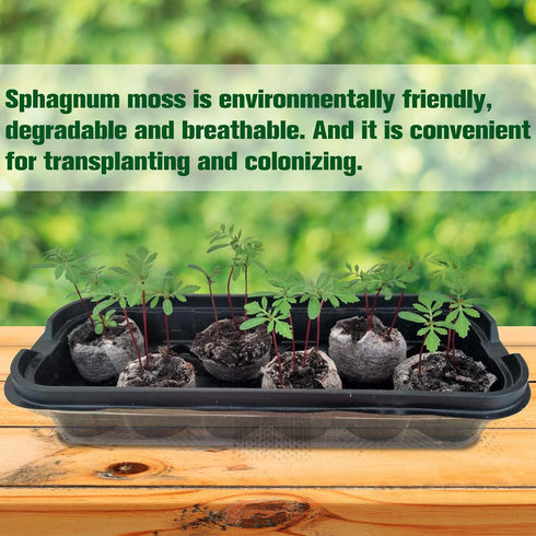 ZeeDix 30mm 50Pcs Compressed Peat Pellet Fiber Soil Plant Seed Starters - Nursery Plugs Pallet Seedling Soil Block for Grow Herbs Plant Flowers Ve...