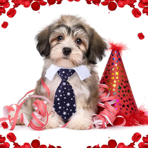 4 Pieces Cat Dog Tie with Collar Adjustable Puppy Pets Formal Necktie Collars Cat Dogs Bow Ties for Cat Small Dogs Grooming Costume Accessories...